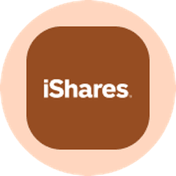 iShares Silver Trust (Ondo Tokenized) logo