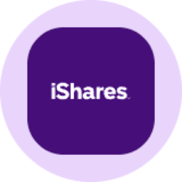 iShares MSCI South Korea ETF (Ondo Tokenized) logo