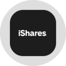 iShares Bitcoin Trust (Ondo Tokenized) logo