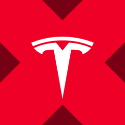 Tesla tokenized stock (xStock) logo