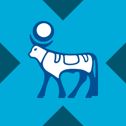 Novo Nordisk tokenized stock (xStock) logo