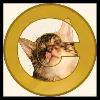 Catecoin logo