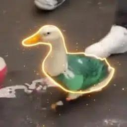 The Patriotic Duck logo
