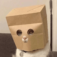 Anonymous Cat logo