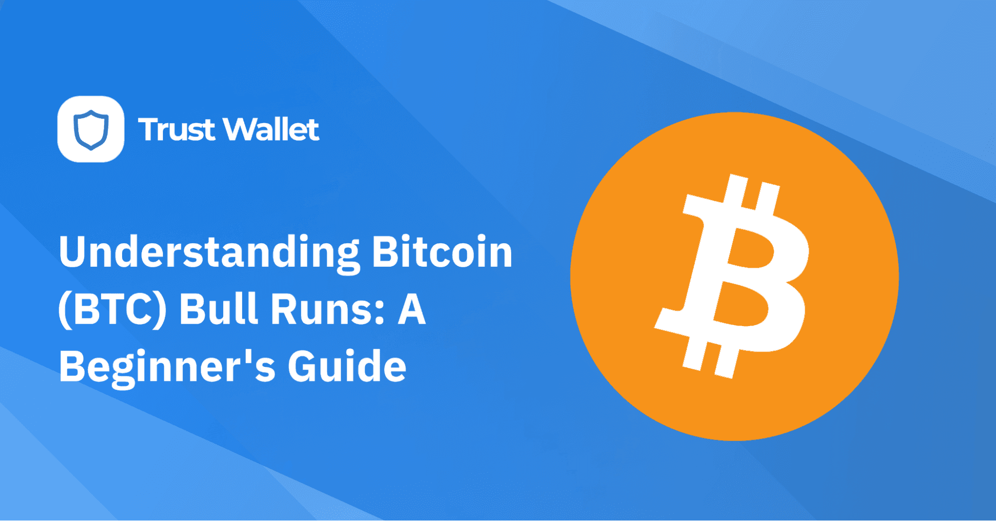 Understanding Bitcoin (BTC) Bull Runs: A Beginner's Guide