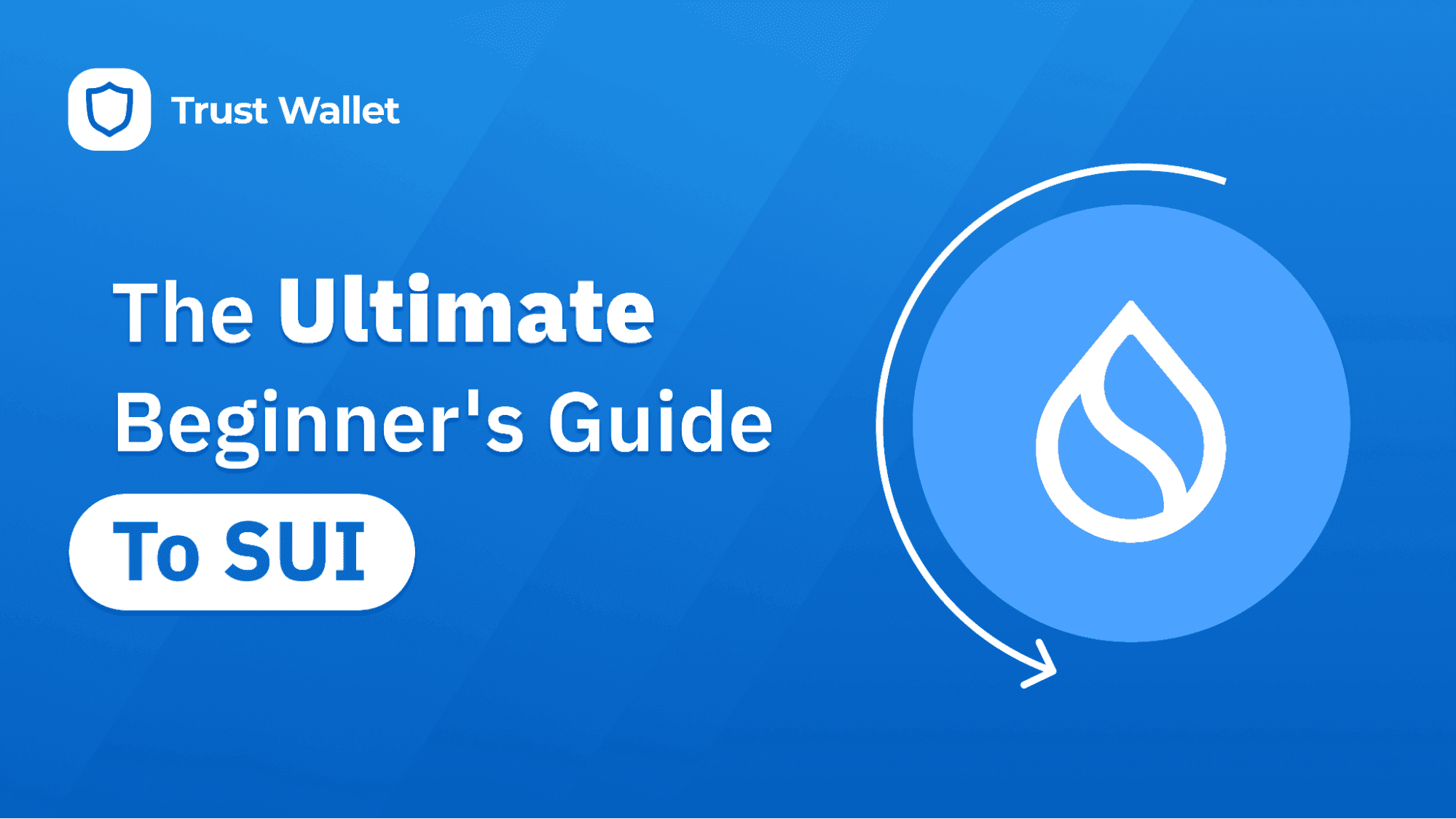 The Ultimate Beginner's Guide To SUI