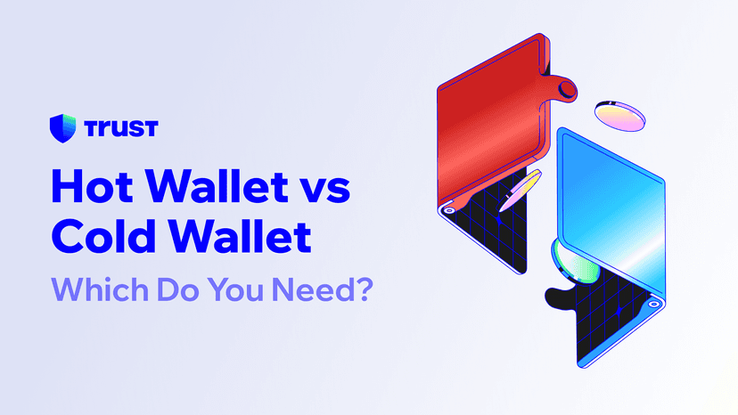 Hot Wallet vs Cold Wallet: Which Do You Need?