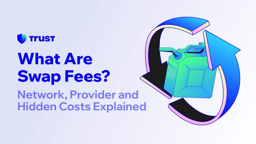 What Are Swap Fees? Network, Provider and Hidden Costs Explained