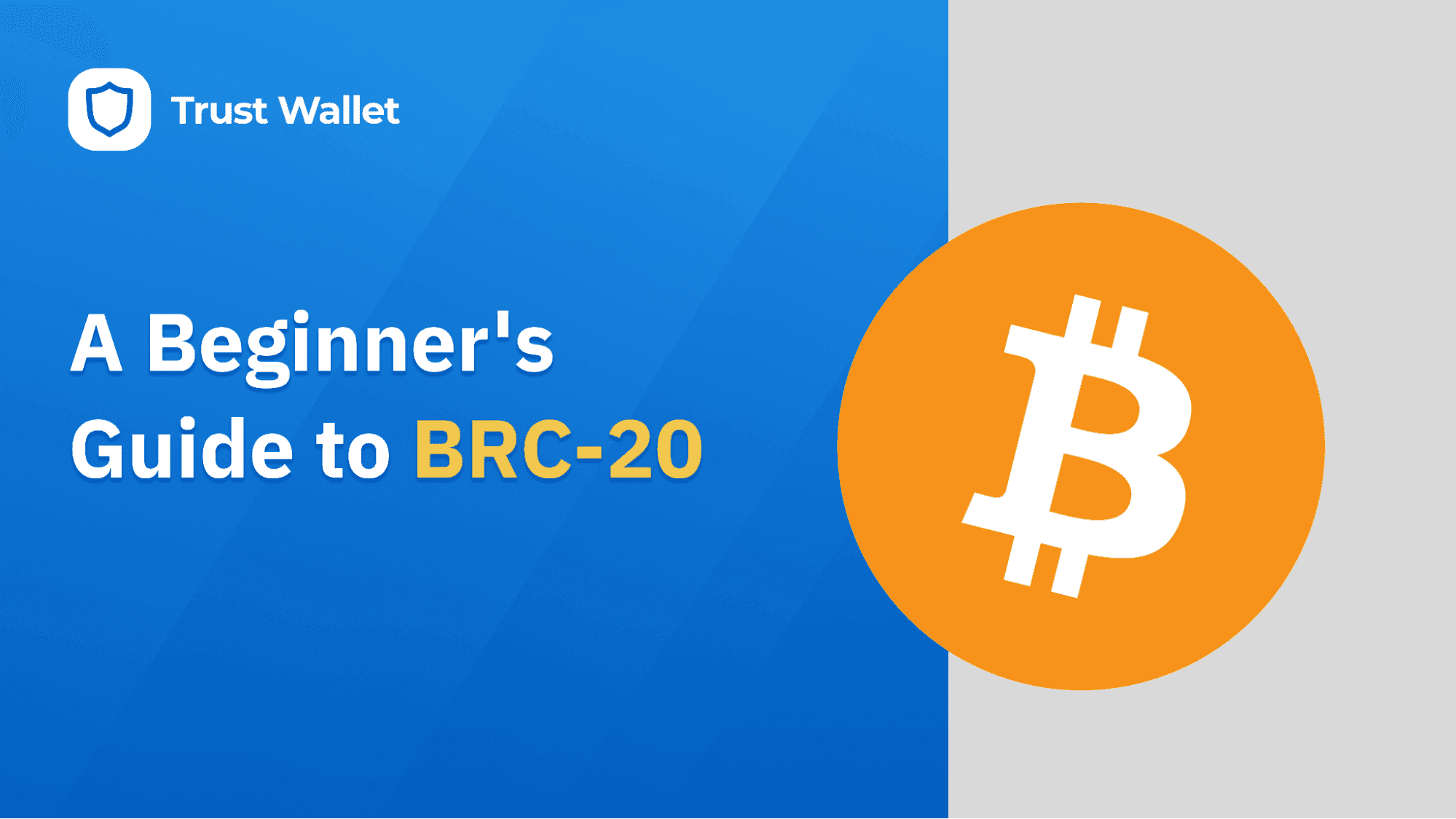 A Beginner's Guide to BRC-20