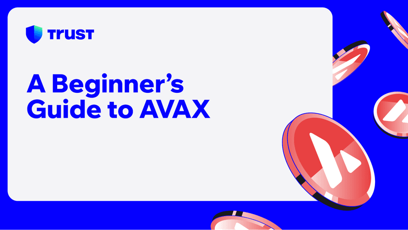 A Beginner’s Guide to AVAX