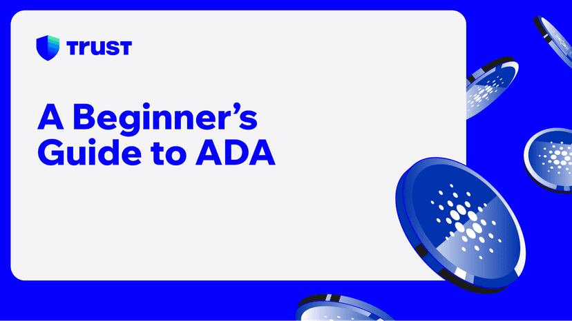 A Beginner’s Guide to ADA