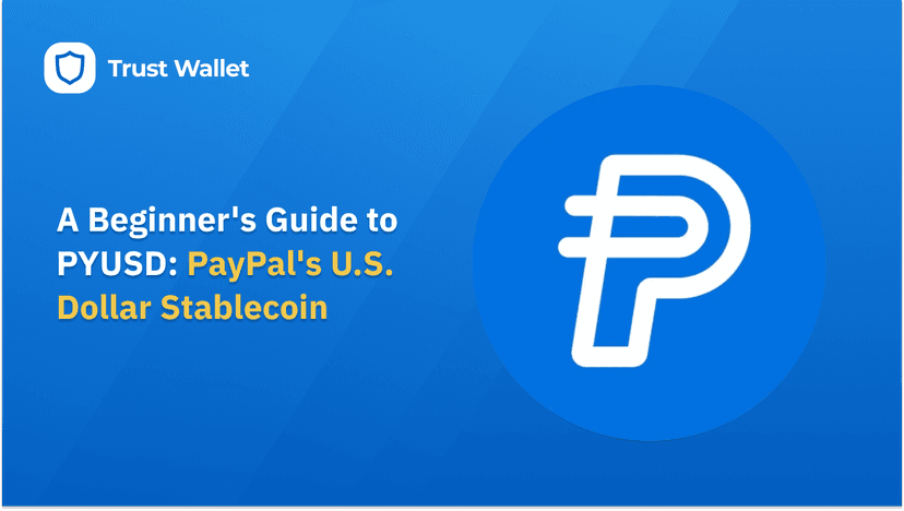 A Beginner's Guide to PayPal's U.S. Dollar Stablecoin PYUSD