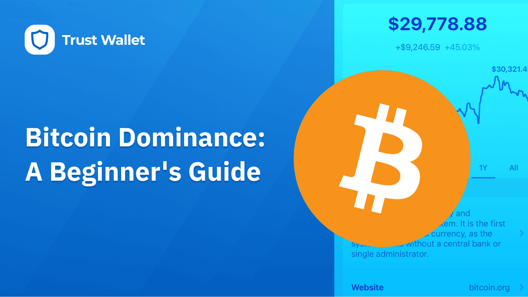 Bitcoin Dominance: A Beginner's Guide