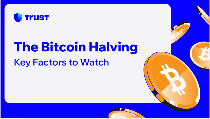The Bitcoin Halving: Key Factors to Watch