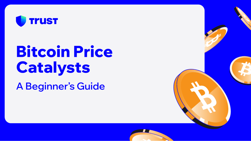 Bitcoin Price Catalysts: A Beginner’s Guide
