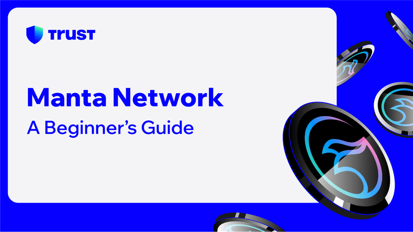 Manta Network: A Beginner’s Guide