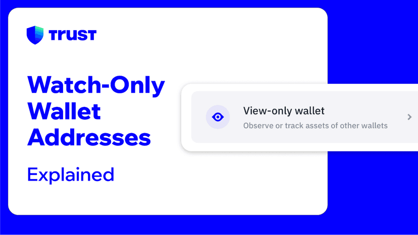 Watch-Only Wallet Addresses: Explained