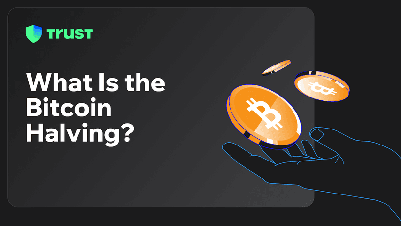 What Is the Bitcoin Halving?